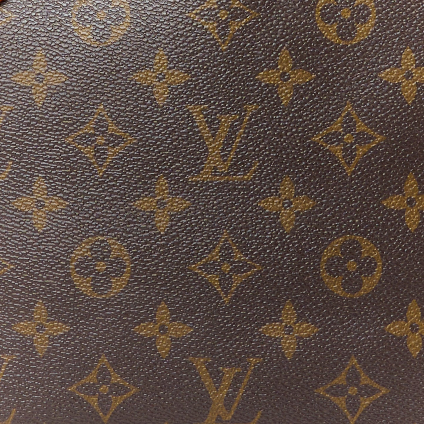 Monogram Neverfull PM