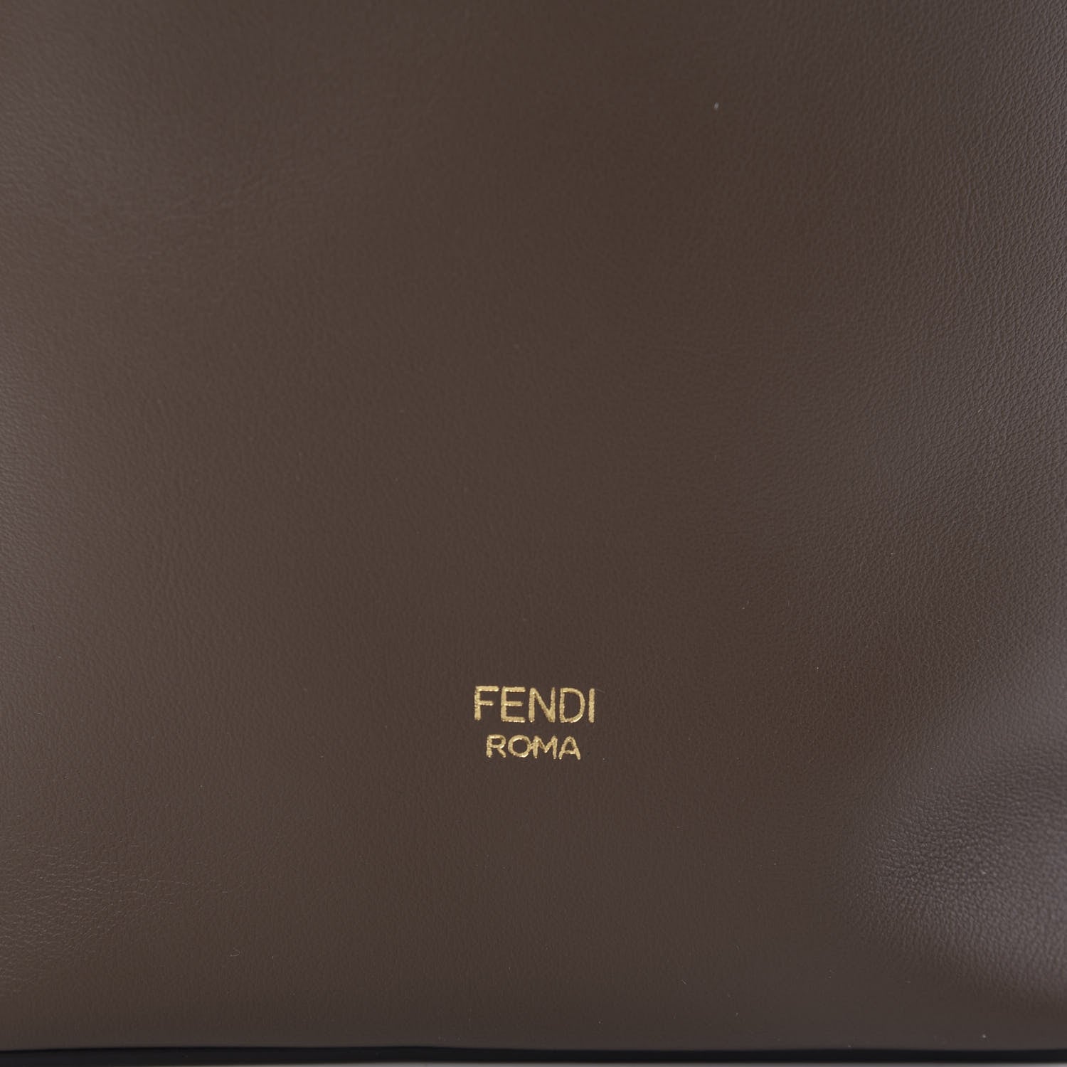 Fendi Vitello Grace Matte F is Fendi Grande Mon Tresor Bucket Bag Maya 10 of 11