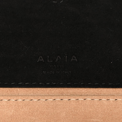 Alaia Nubuck Studded Small Le Teckel Bag  Black 5 of 8