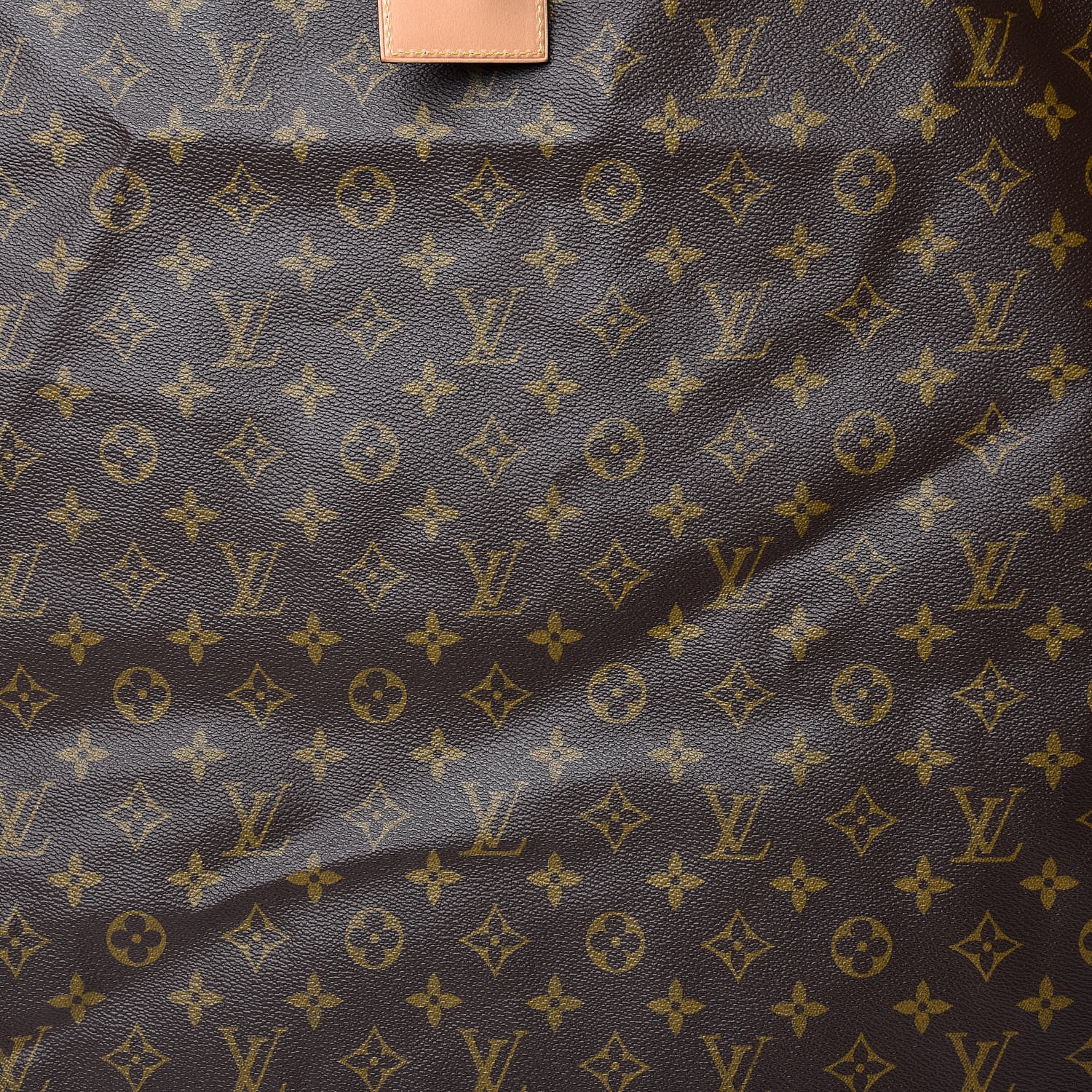Louis Vuitton Monogram Garment Cover 10 of 13