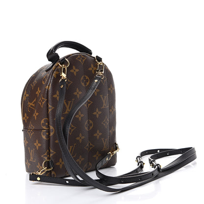 Louis Vuitton Monogram Palm Springs Backpack Mini 2 of 11