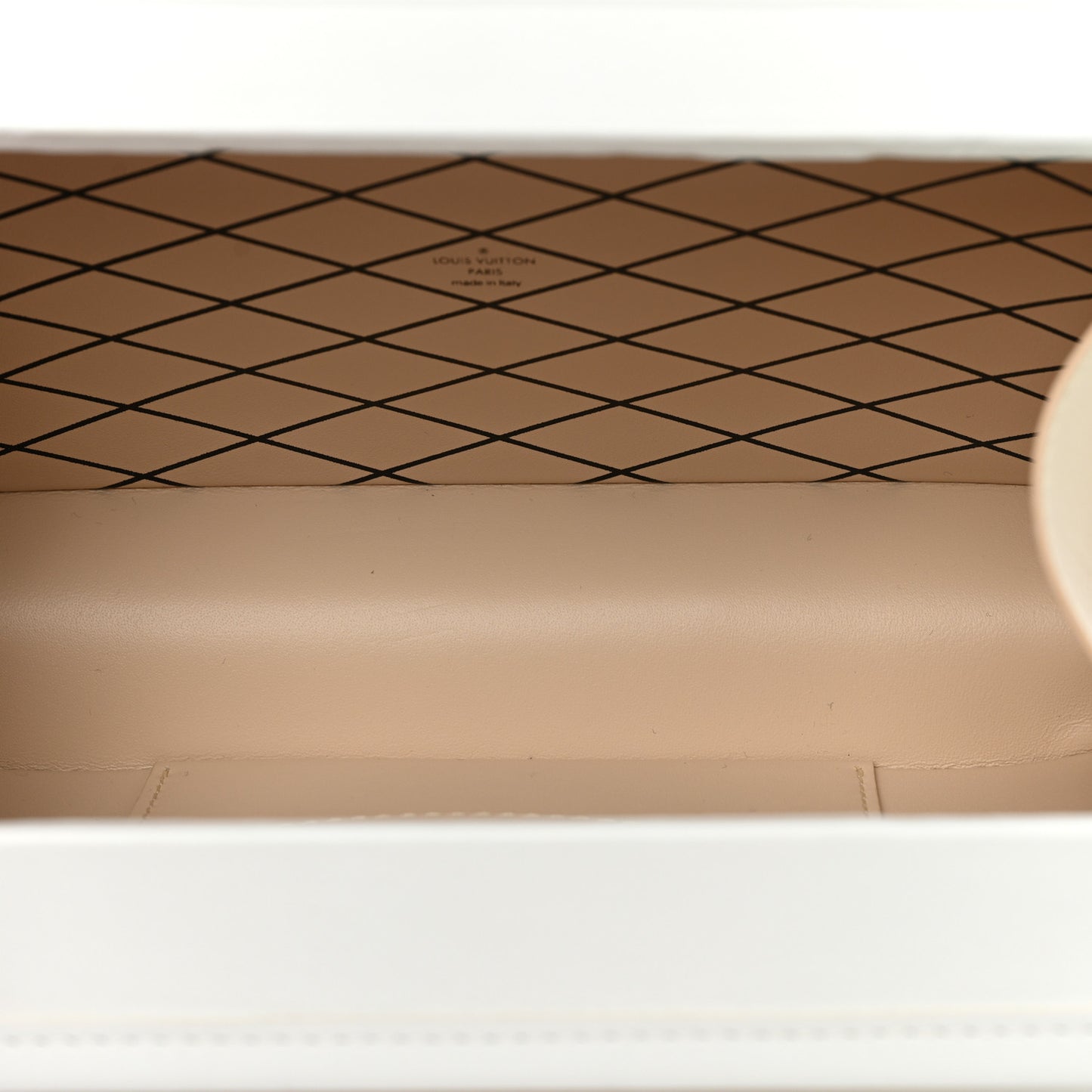Calfskin Monogram Embroidered Petite Malle White