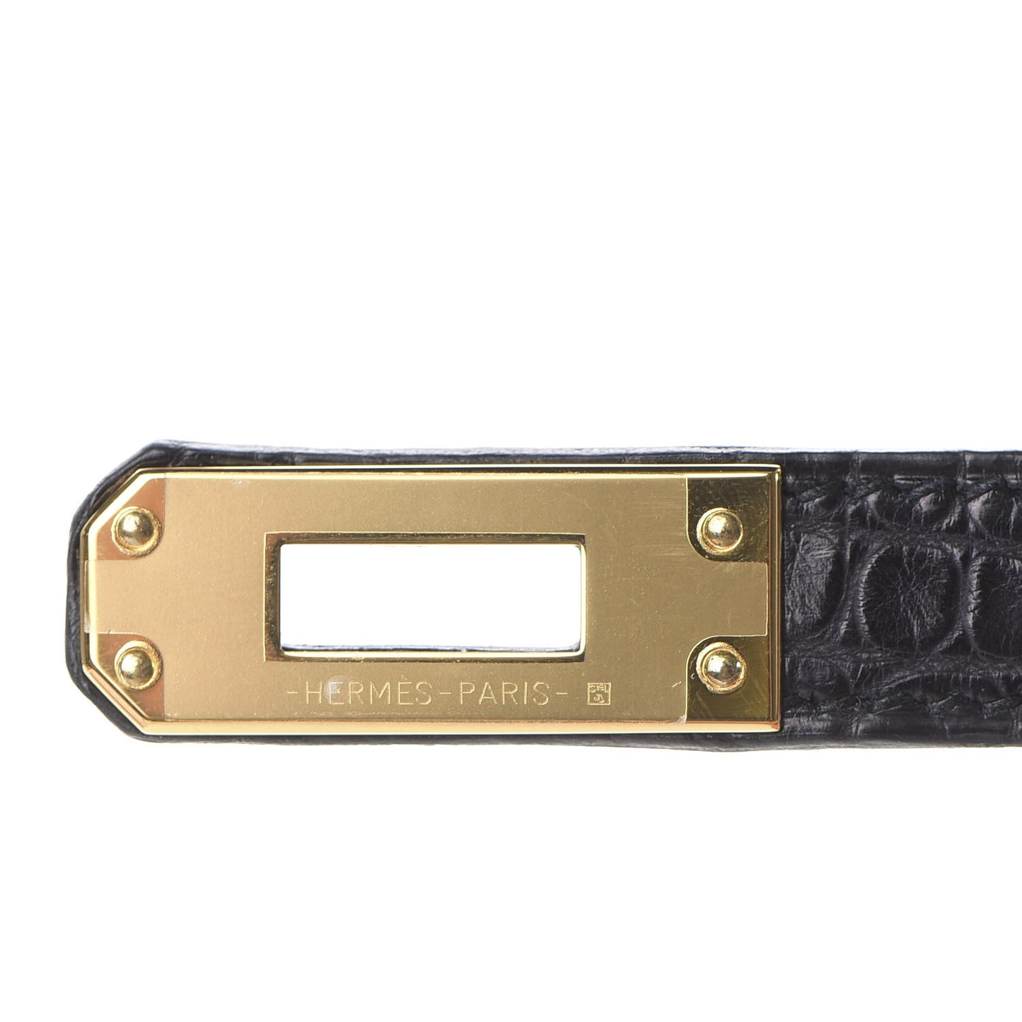 Matte Alligator Birkin 25 Black