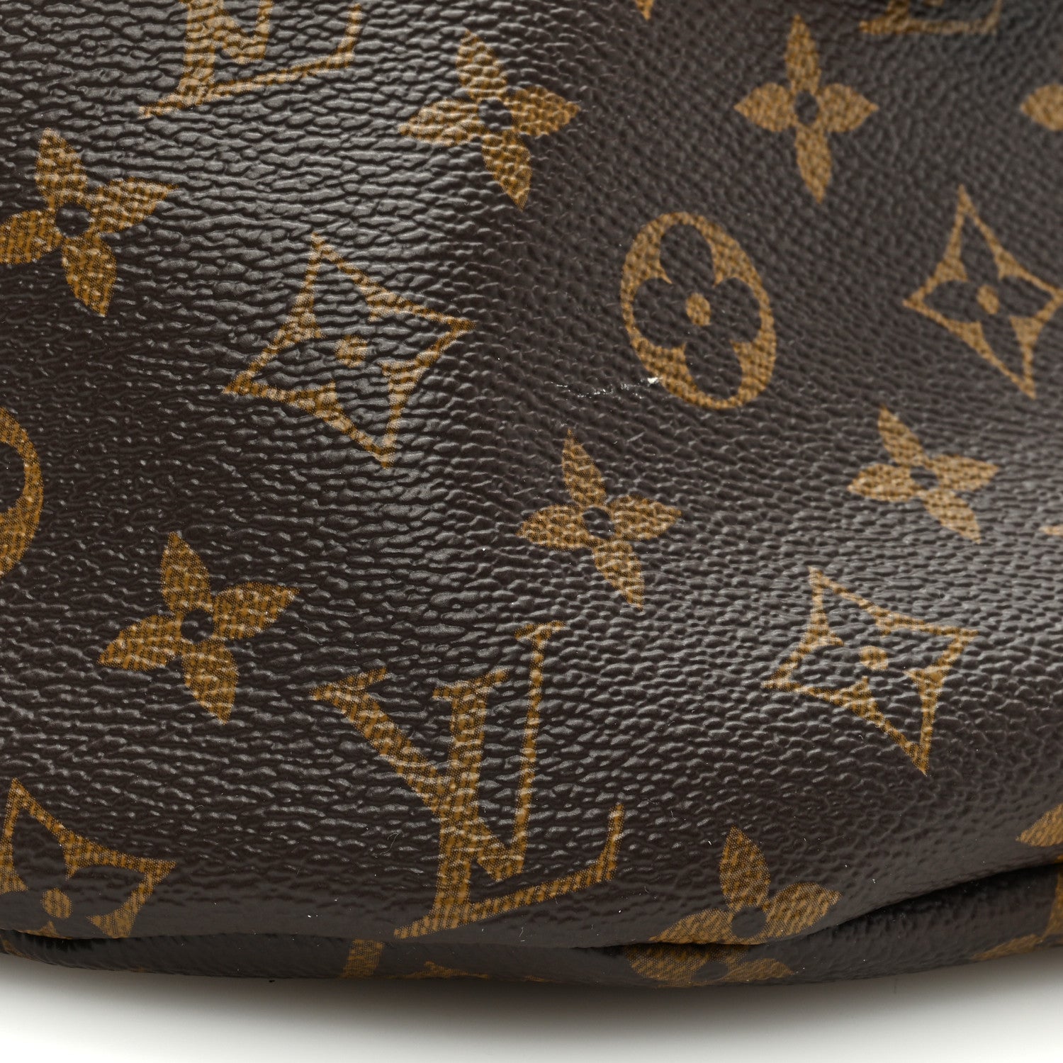 Louis Vuitton Monogram Bumbag 7 of 8