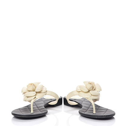 Chanel Jelly Quilted Camellia Thong Sandals 39 Black White 5 of 13