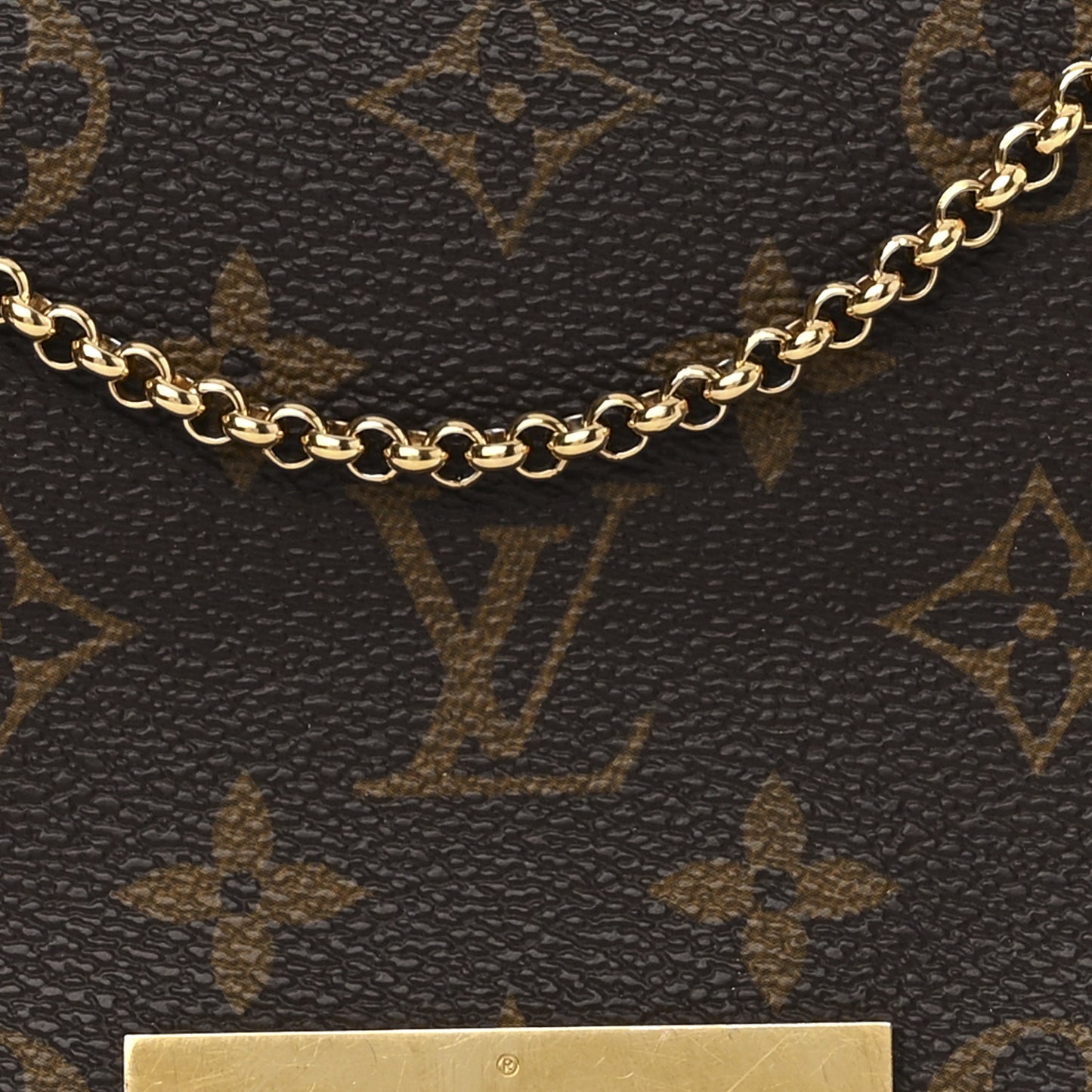 Monogram Favorite PM