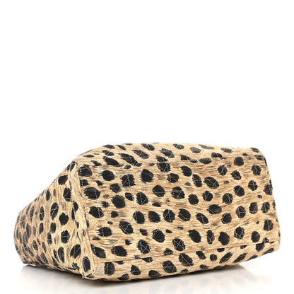 Christian Dior Canvas Leopard Print Medium Lady Dior 3 of 12