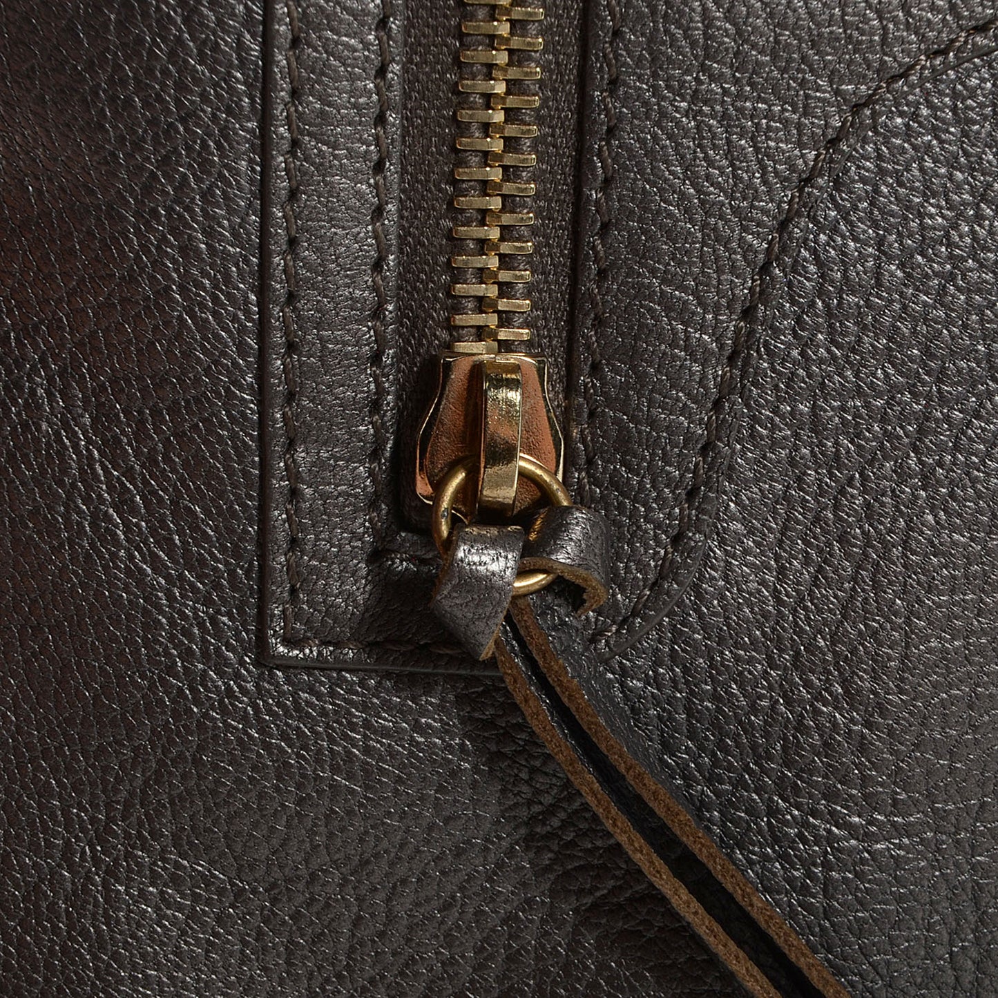 Chevre Classic Gold Hardware Premier Clutch Bronze