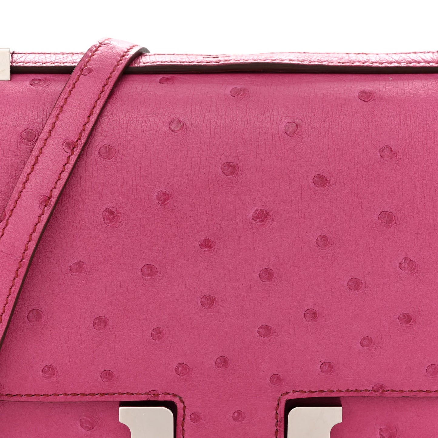 Ostrich Constance 18 Rose Pourpre
