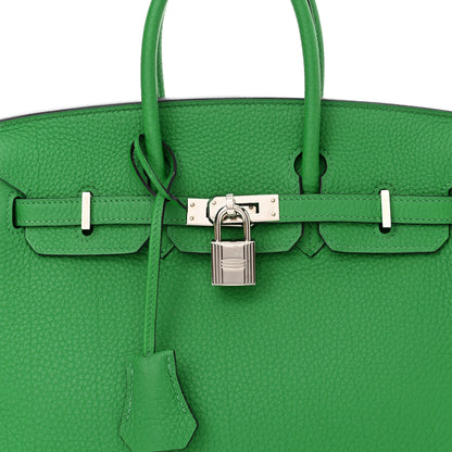 Hermes Togo Birkin 25 Bambou 8 of 17