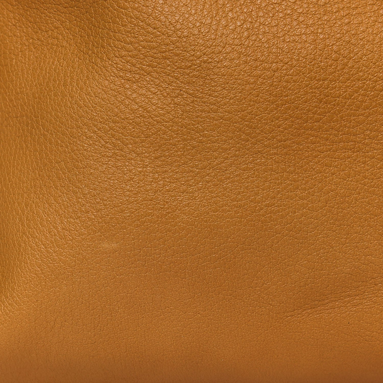 Fendi Vitello Dolce Marmol Large Chameleon Tote Yellow 14 of 18