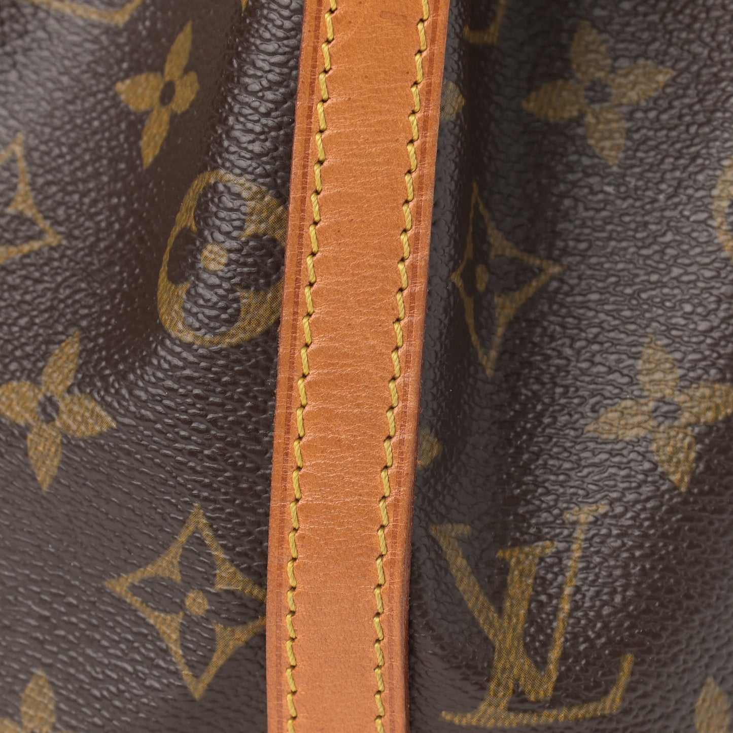 Monogram Mini Noe