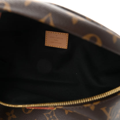 Louis Vuitton Monogram Bumbag 5 of 9