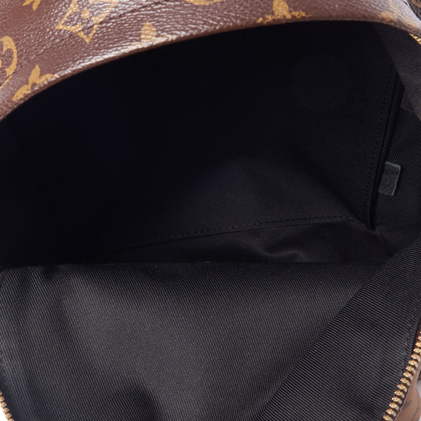 Reverse Monogram Palm Springs Backpack PM