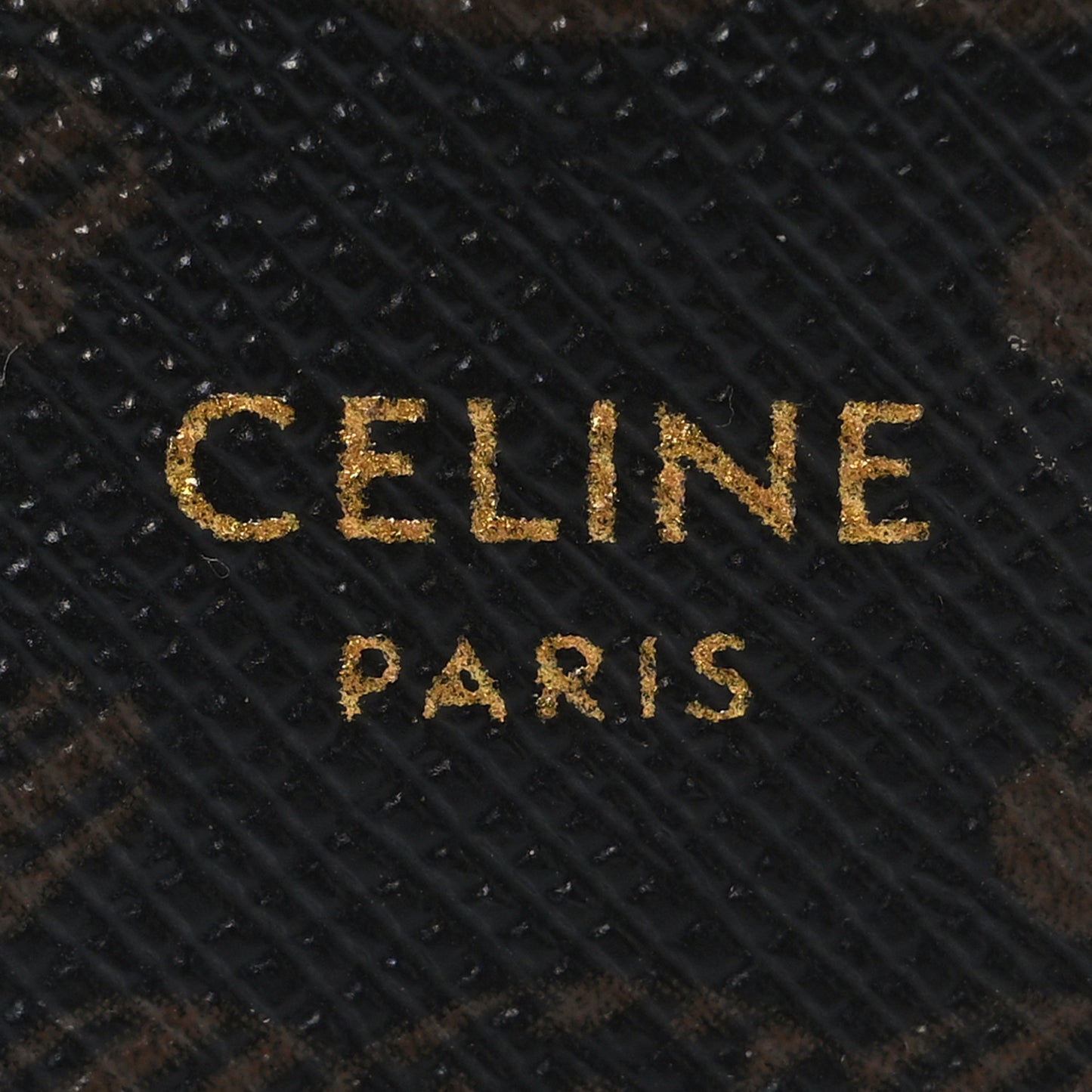 Triomphe Canvas Lambskin Wallet On Strap Tan