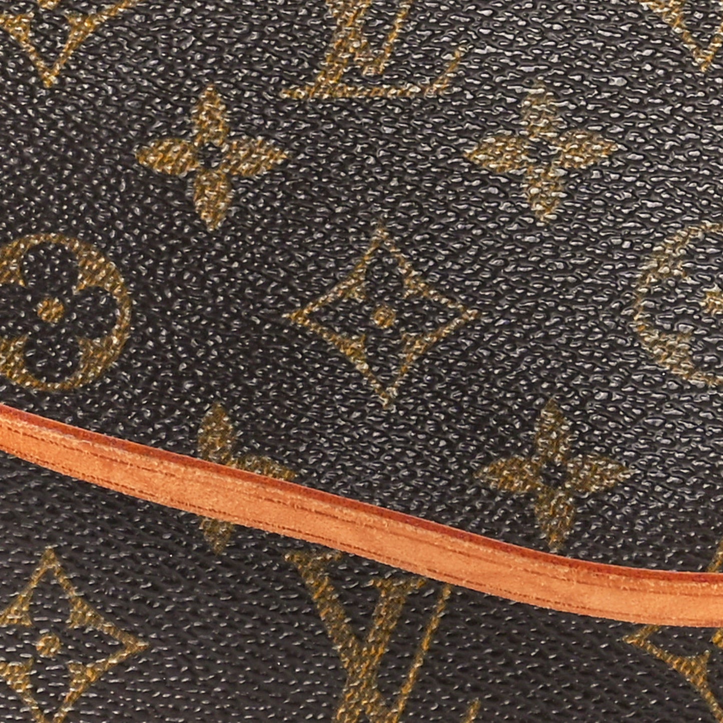 Monogram Pochette Accessories