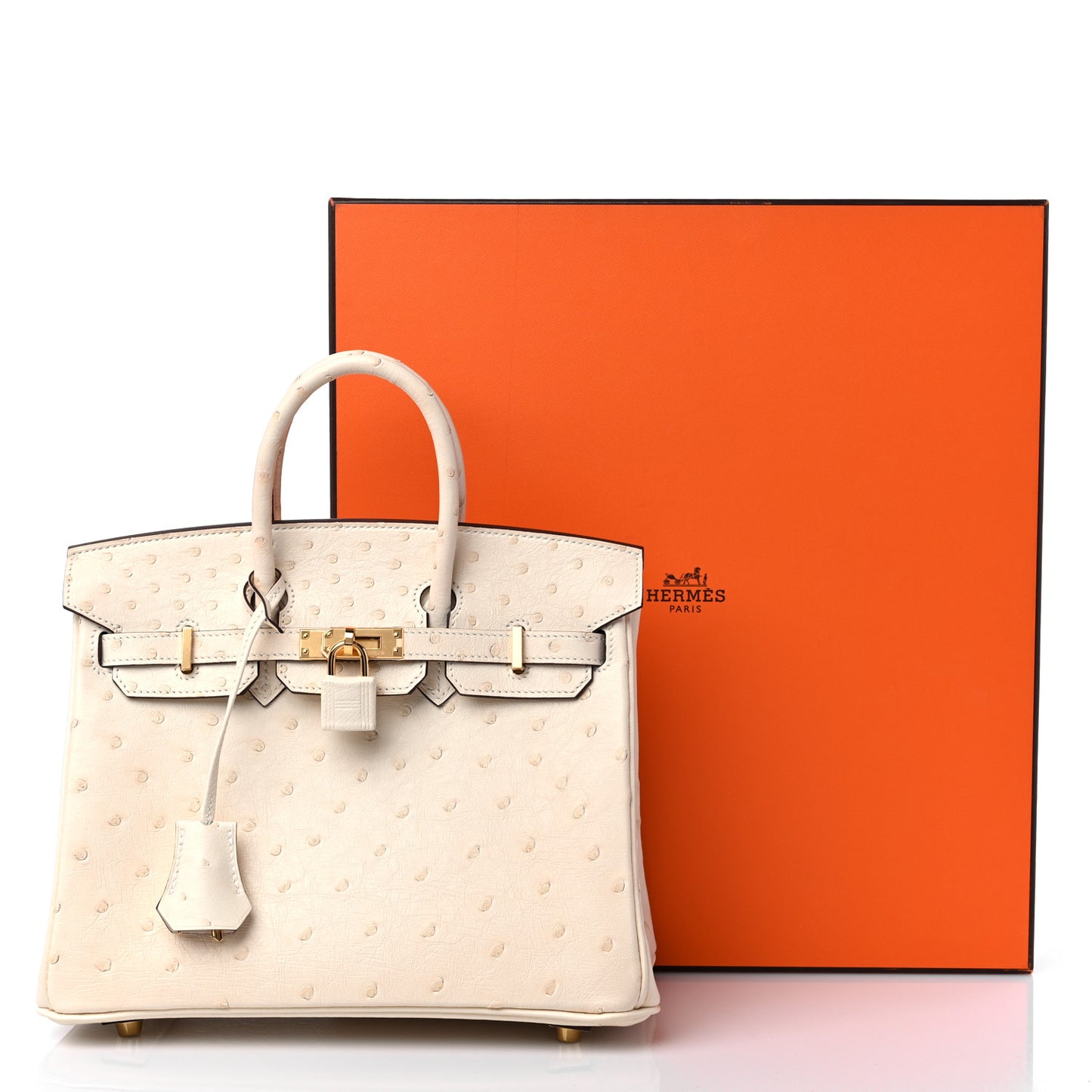 Ostrich Birkin 25 Nata