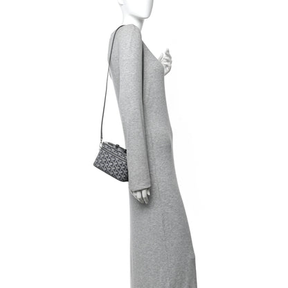 Goyard Goyardine Muse Mini Vanity Case Grey 2 of 10
