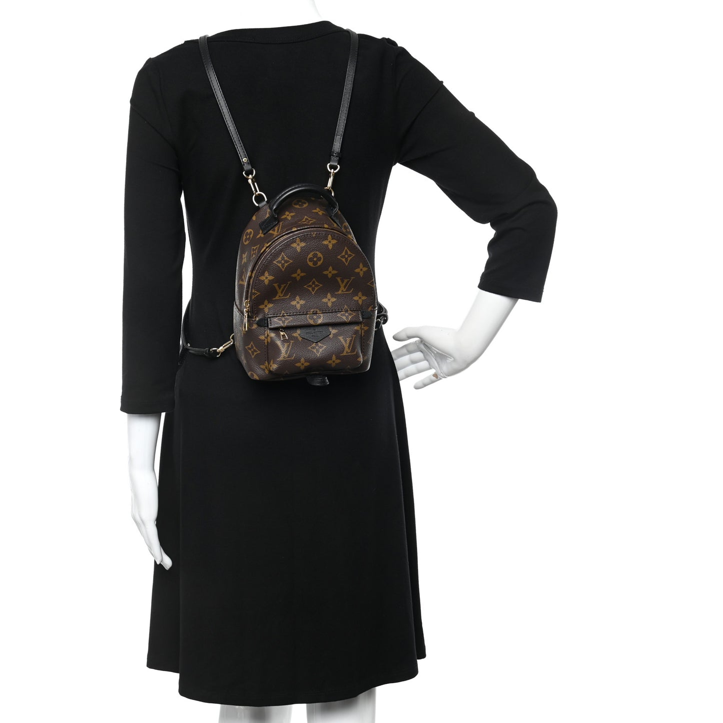 Monogram Palm Springs Backpack Mini