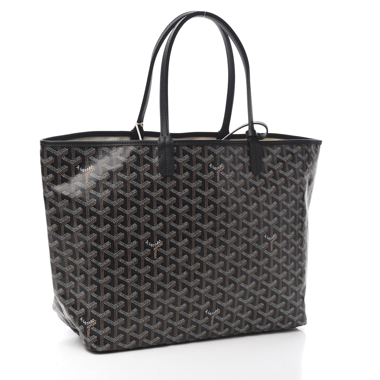 Goyard Goyardine Saint Louis PM Black 4 of 10