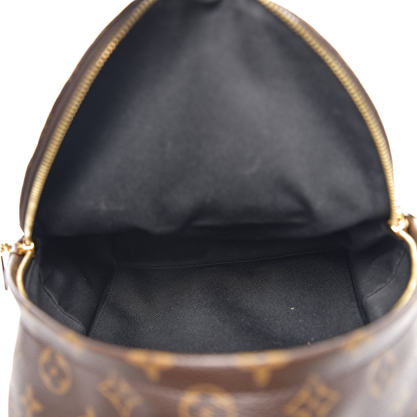 Monogram Palm Springs Backpack PM