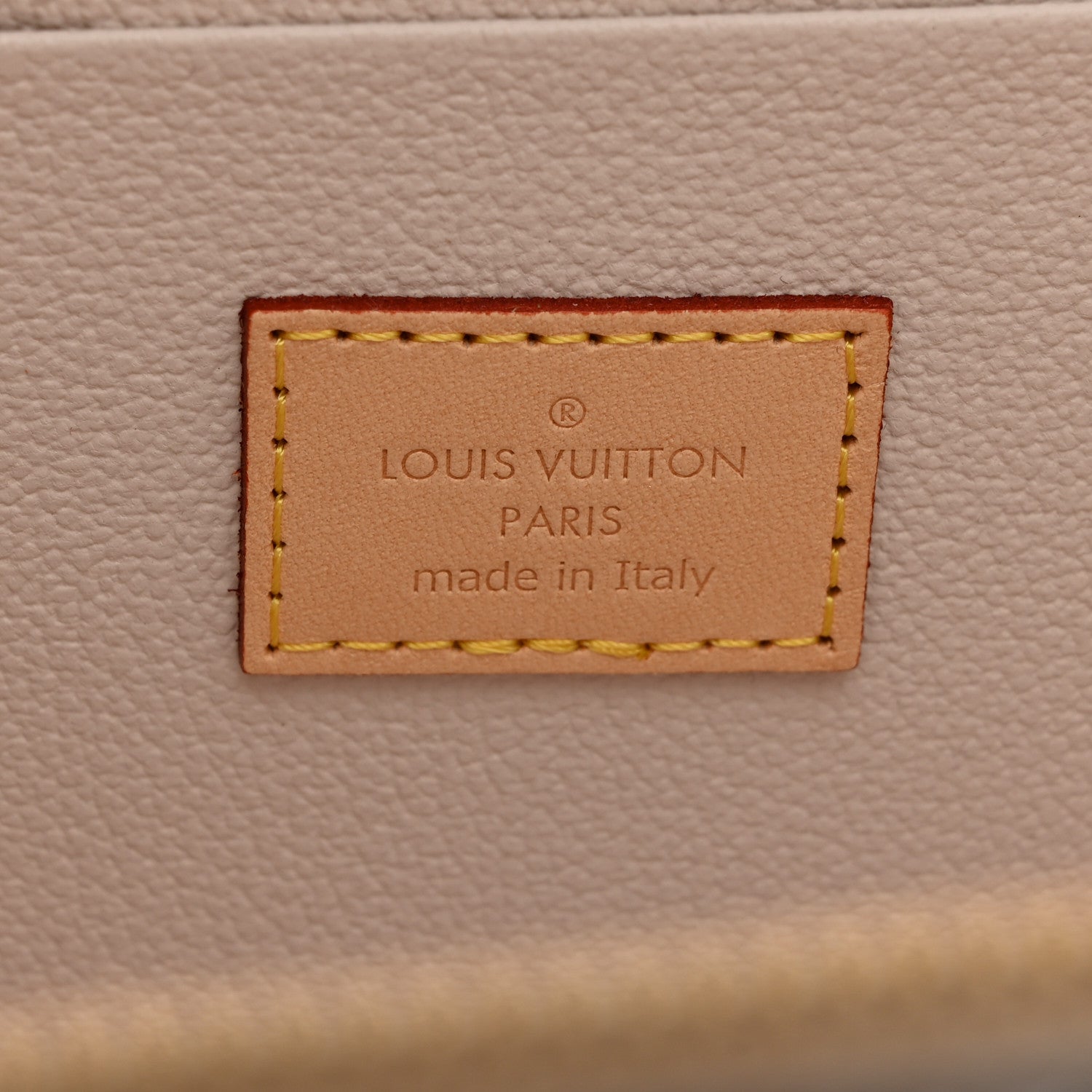 Louis Vuitton Monogram Giant By The Pool Nice BB Brume 6 of 7