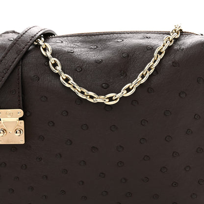 Louis Vuitton Ostrich Side Trunk MM Marron 7 of 10