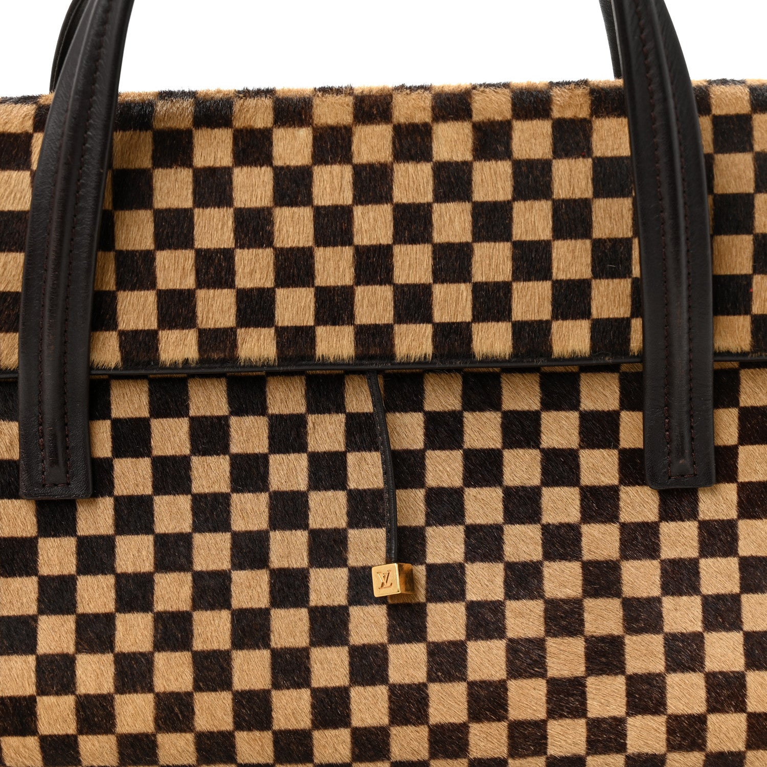 Louis Vuitton Damier Calf Hair Sauvage Lionne 8 of 12