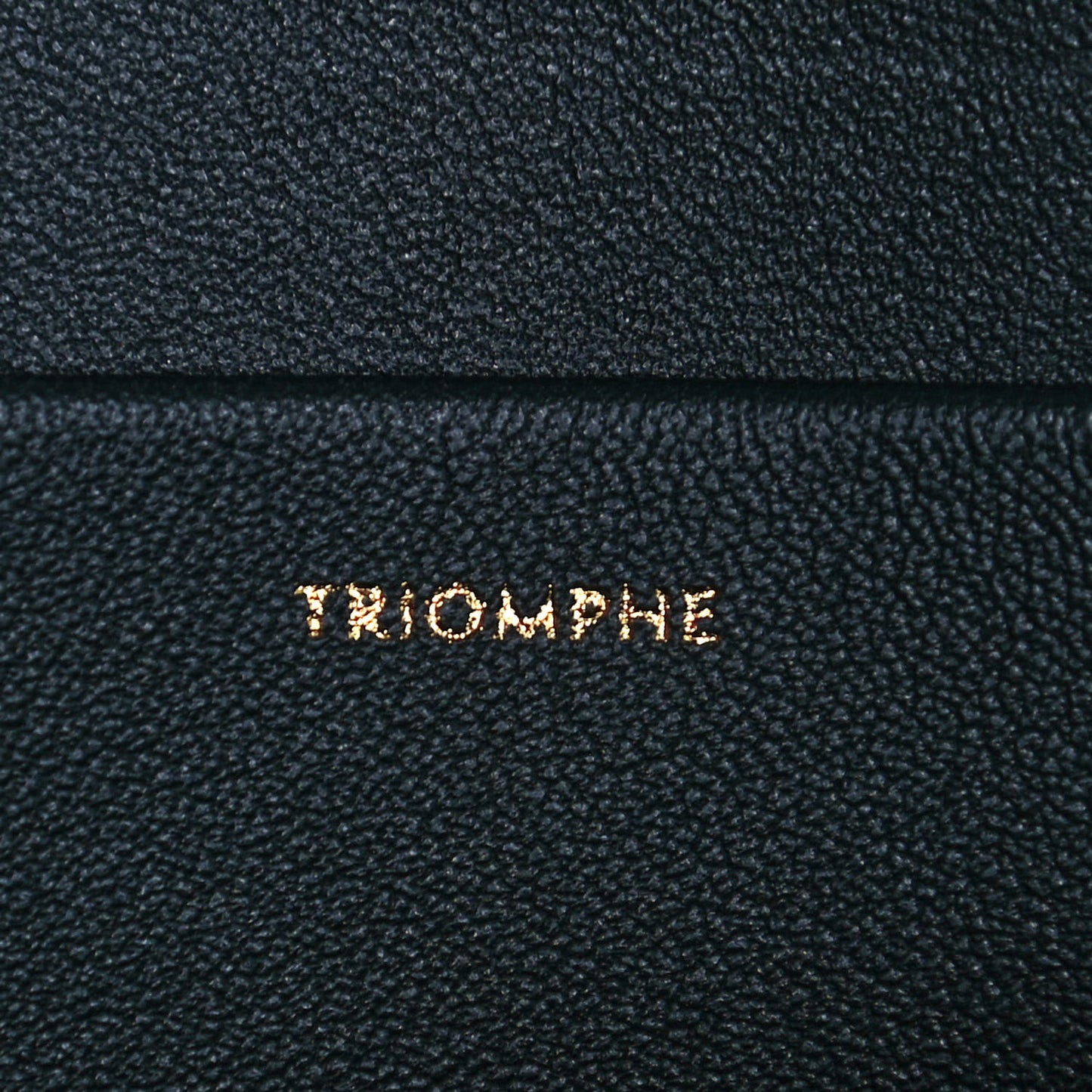 Shiny Calfskin Medium Triomphe Amazone