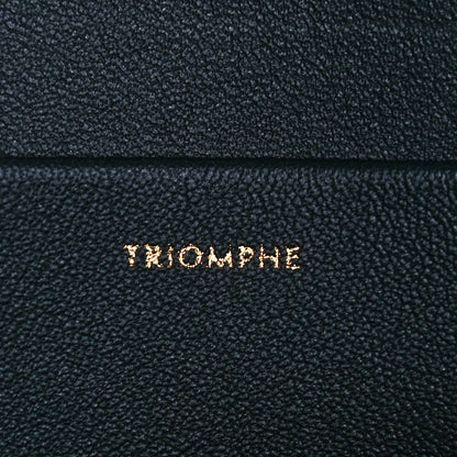 Celine Shiny Calfskin Medium Triomphe Amazone 6 of 13