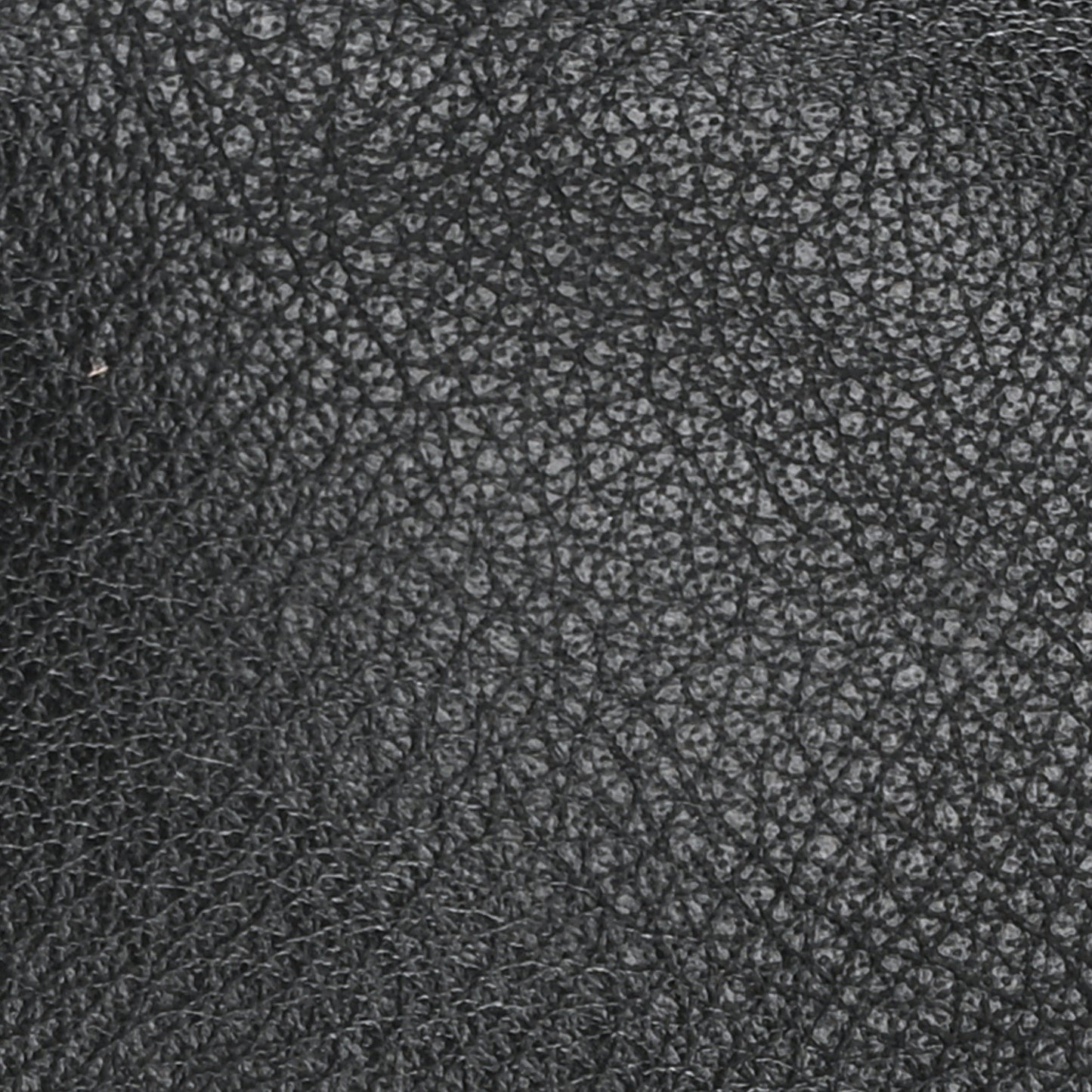 Veau Papier B4 Zip Around Tote Black