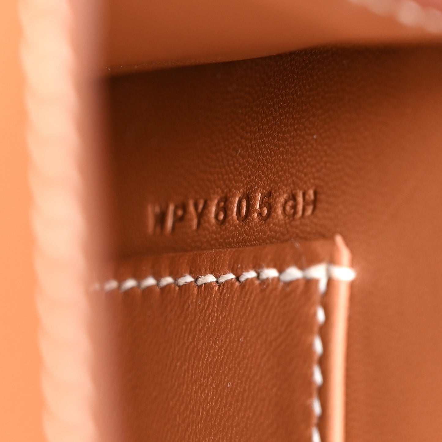 Epsom Della Cavalleria Elan Gold