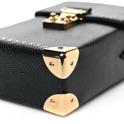 Louis Vuitton Lizard Camera Box Black 9 of 9