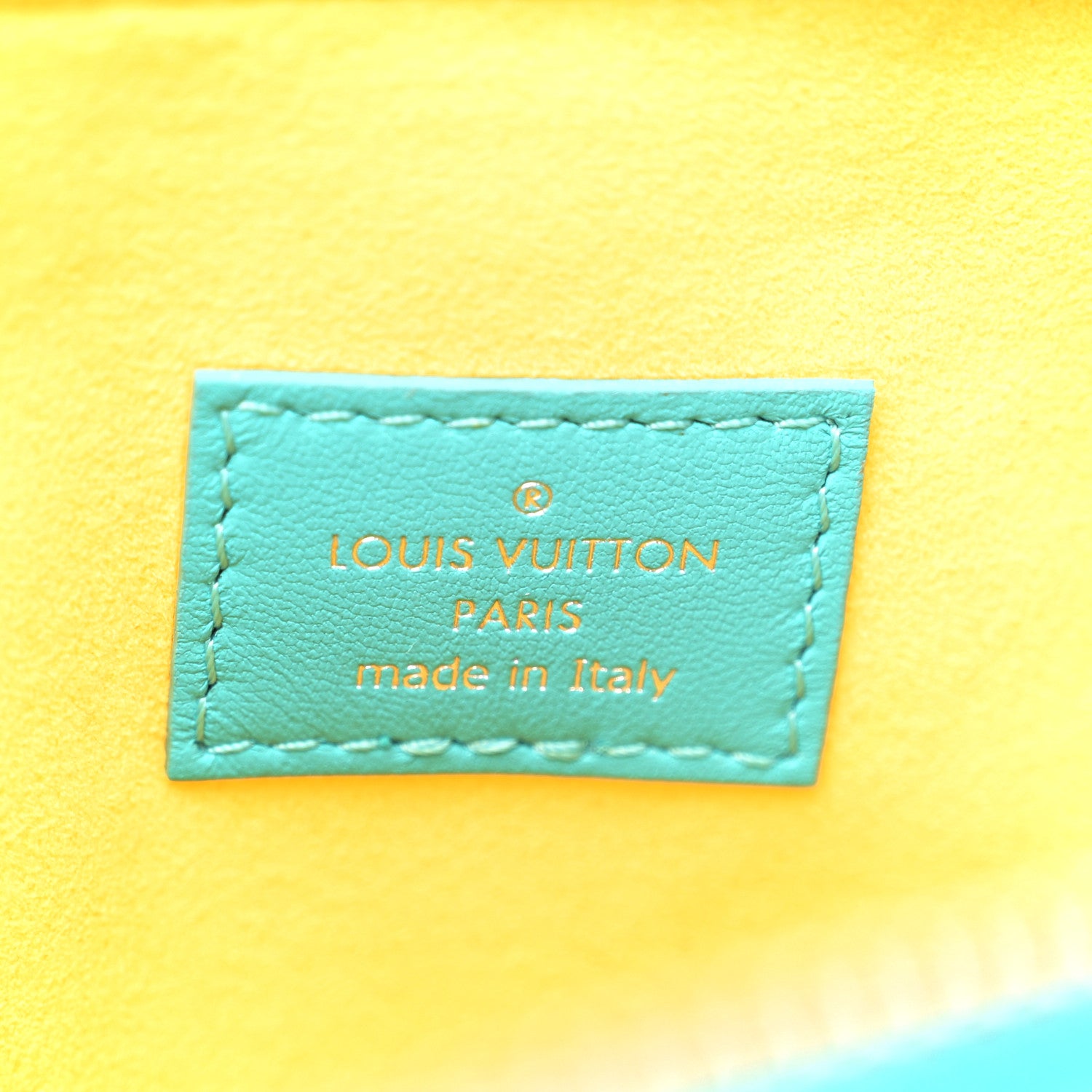 Louis Vuitton Lambskin Embossed Monogram Vuittamins Coussin PM Menthe Jaune 8 of 11