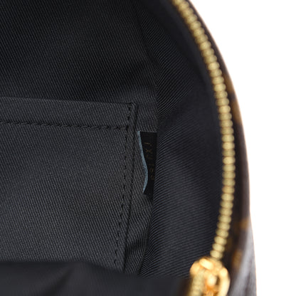 Louis Vuitton Monogram Palm Springs Backpack PM 7 of 11