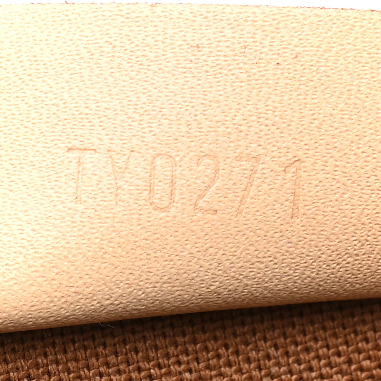 Monogram Nano Speedy