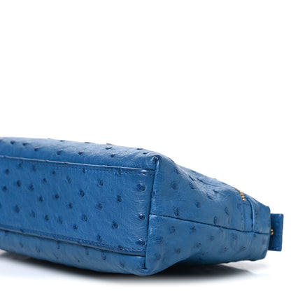 Loro Piana Ostrich L19 Extra Pocket Pouch Blue 9 of 9