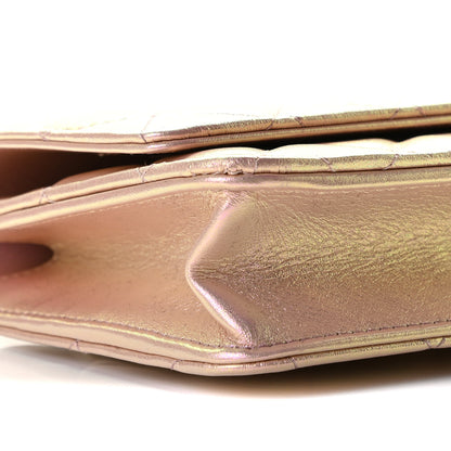 Chanel Iridescent Calfskin Quilted Wallet On Chain WOC Pink 8 of 10