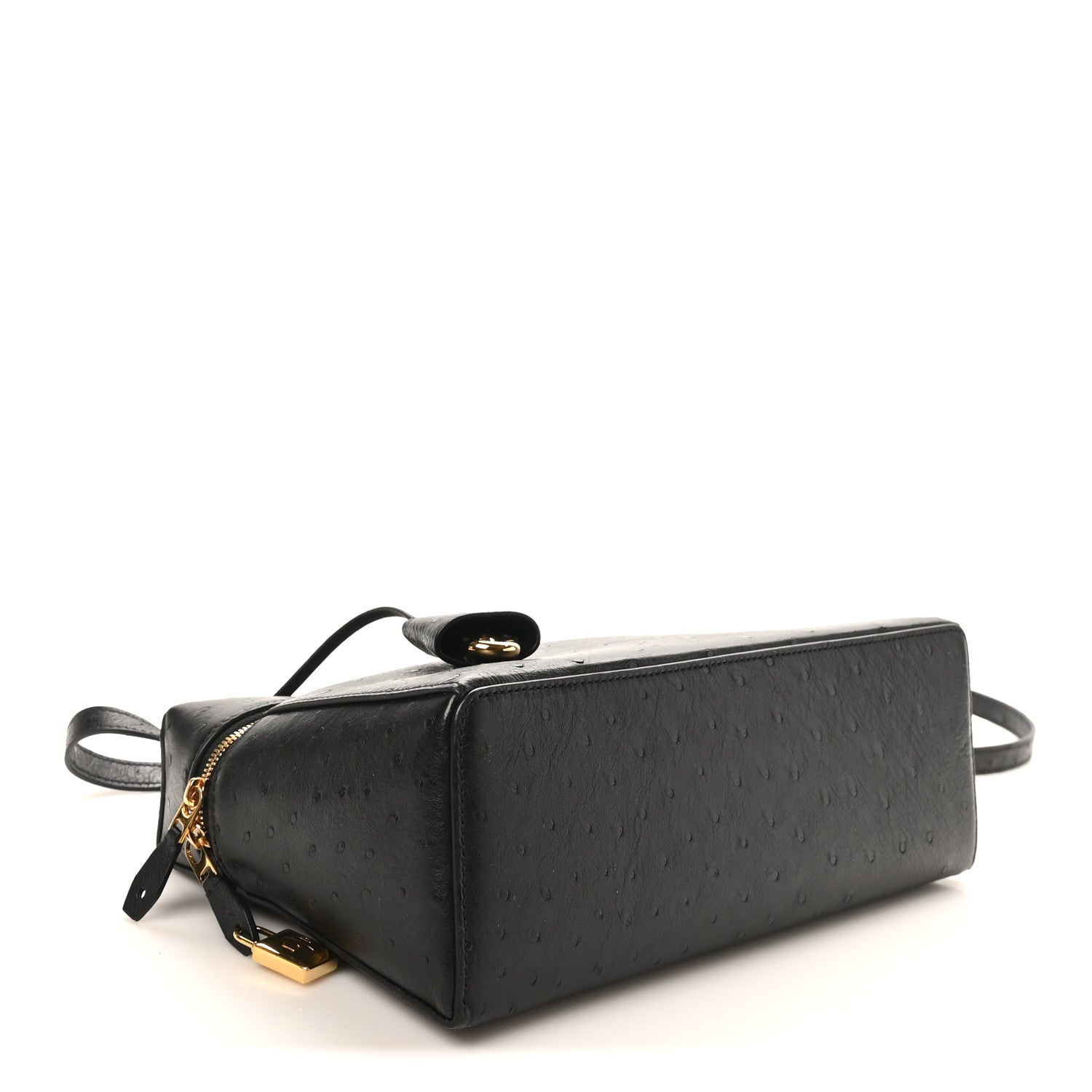 Loro Piana Ostrich Extra Bag L27 Black 4 of 9
