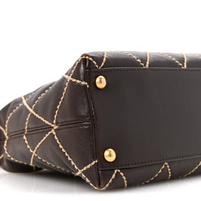 Chanel Calfskin Wild Stitch Hobo Brown 9 of 16