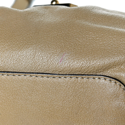 Chloe Calfskin Medium Elsie Satchel Greige 12 of 16