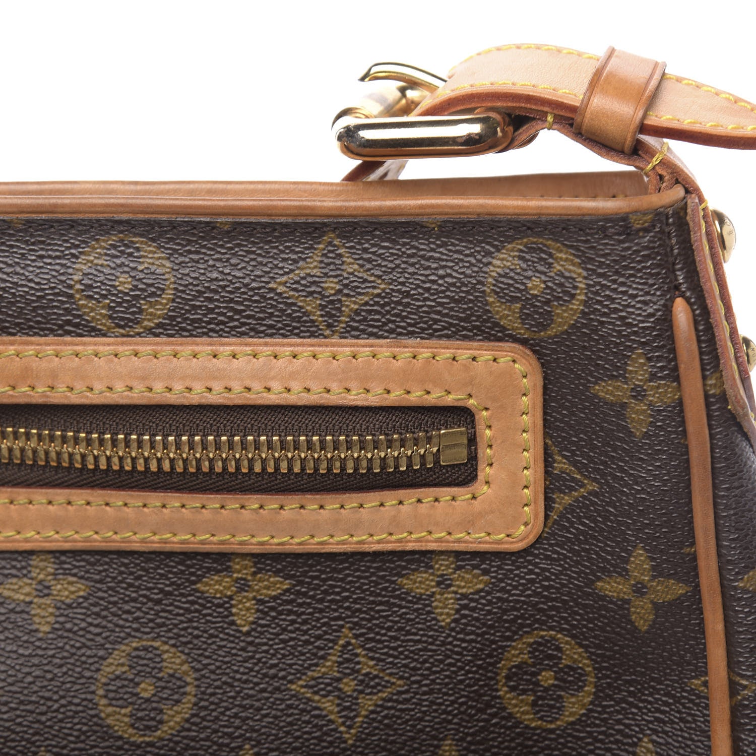Louis Vuitton Monogram Hudson GM 6 of 17