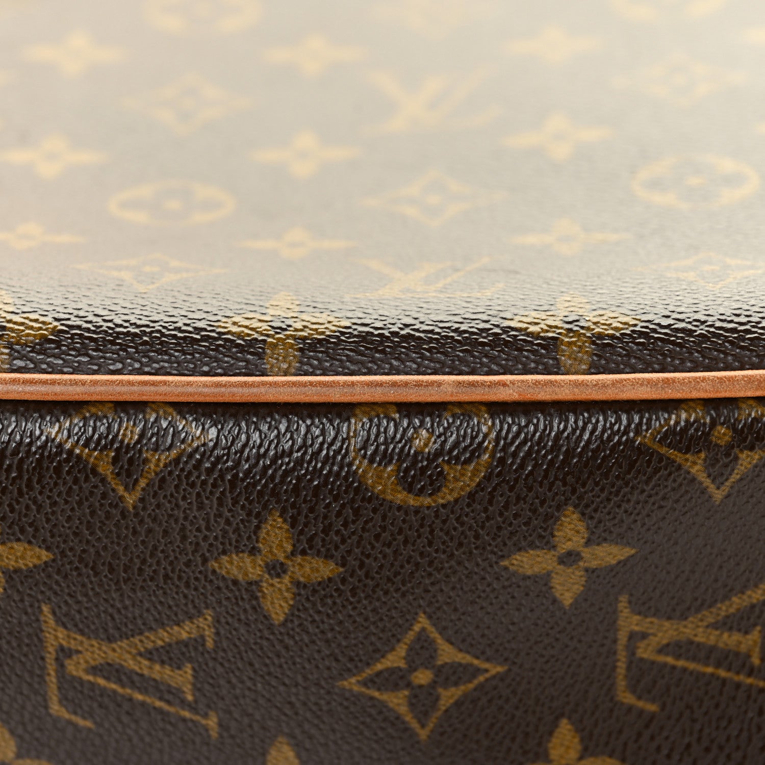 Louis Vuitton Monogram Hudson GM 20 of 26