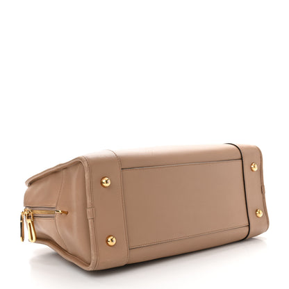Loewe Calfskin Amazona 36 Mink 4 of 18