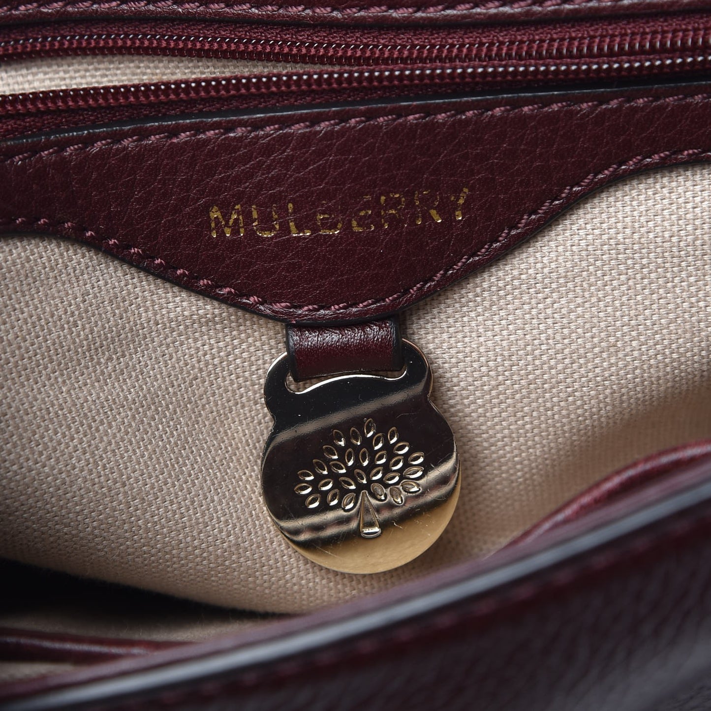 Soft Small Grain Tessie Satchel Oxblood