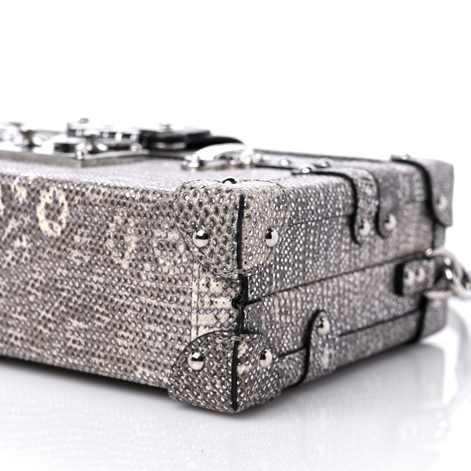 Louis Vuitton Lizard Petite Malle Silver 8 of 8