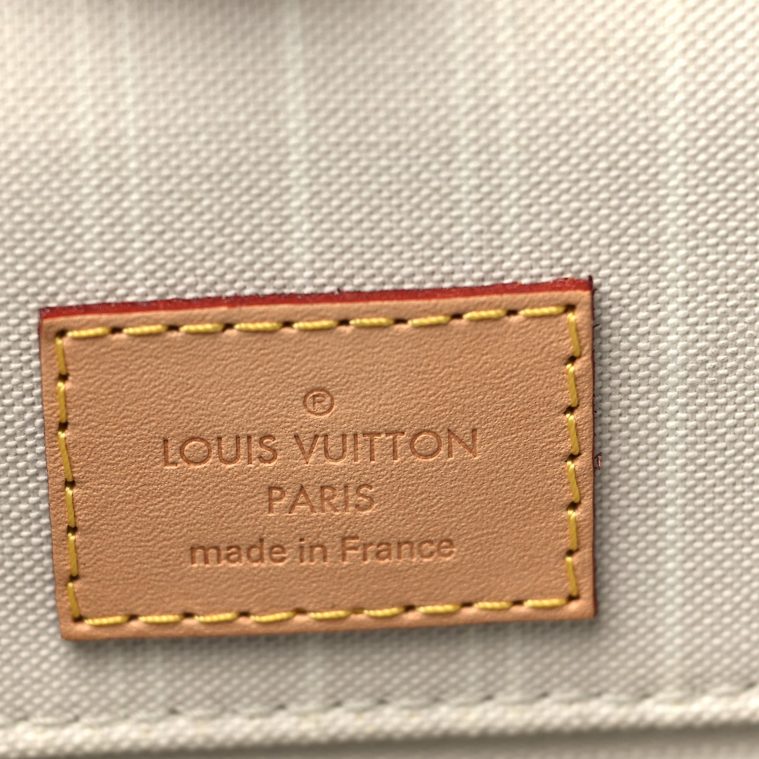Louis Vuitton Monogram Giant By The Pool Onthego GM Brume 6 of 9