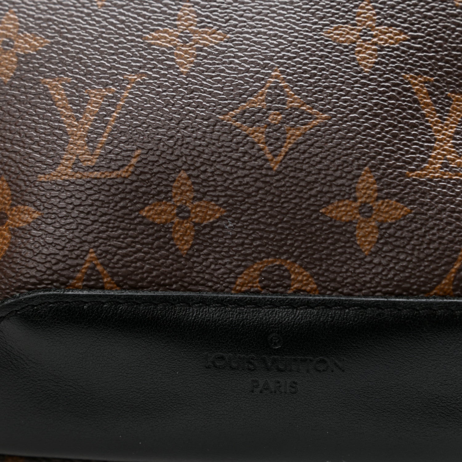 Louis Vuitton Monogram Macassar Avenue Sling Bag 12 of 12