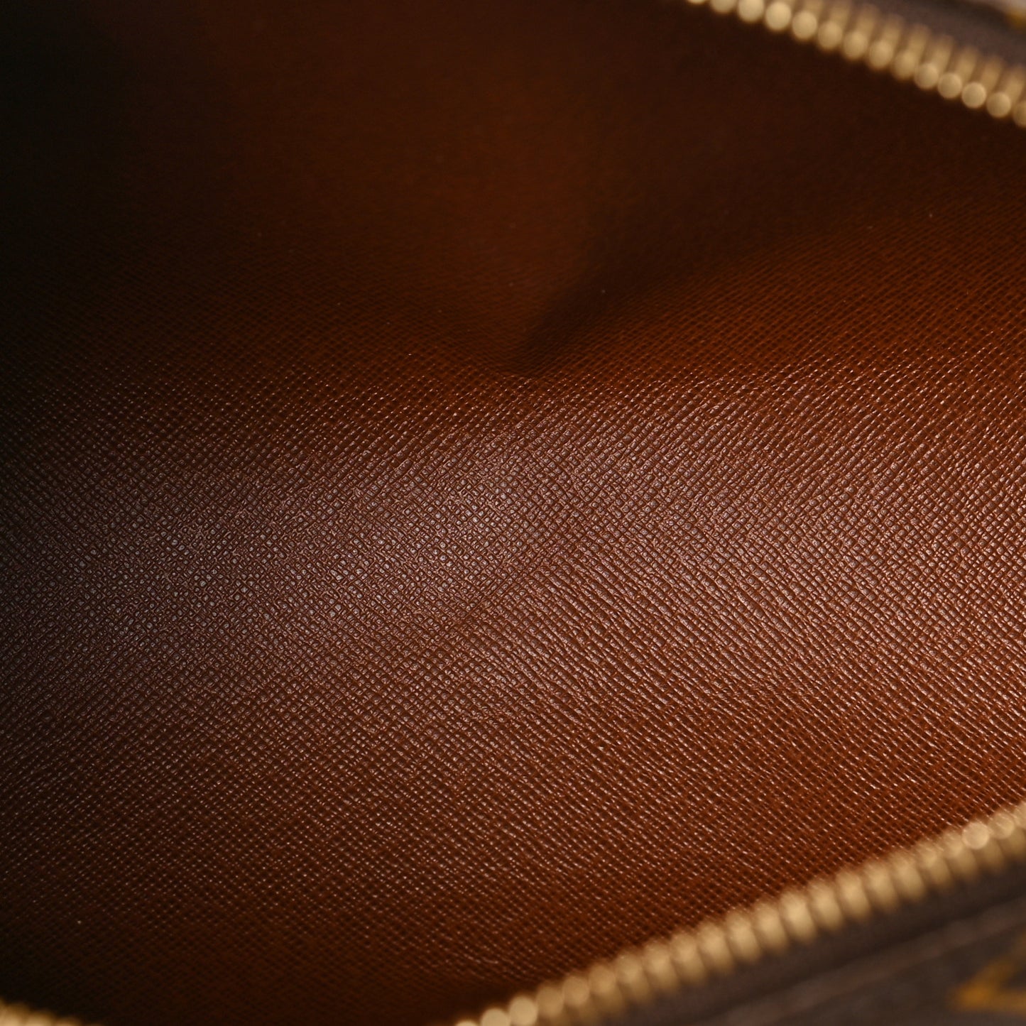 Monogram Papillon 26
