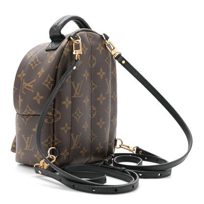 Louis Vuitton Monogram Palm Springs Backpack Mini 2 of 10